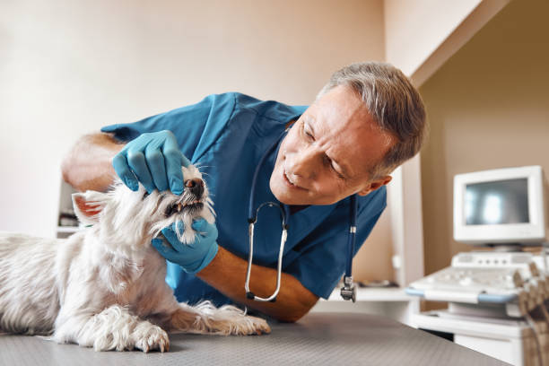 Best Walk-In Emergency Dentist in Valley Cottage, NY